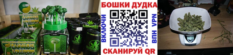 hydra зеркало  купить  сайты  Велиж  Canna-Cookies конопля 