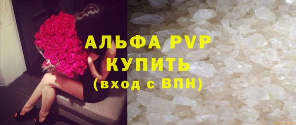 ГАЛЛЮЦИНОГЕННЫЕ ГРИБЫ Белоозёрский