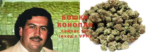 эйфоретик Анива