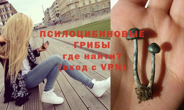 ГАЛЛЮЦИНОГЕННЫЕ ГРИБЫ Белоозёрский
